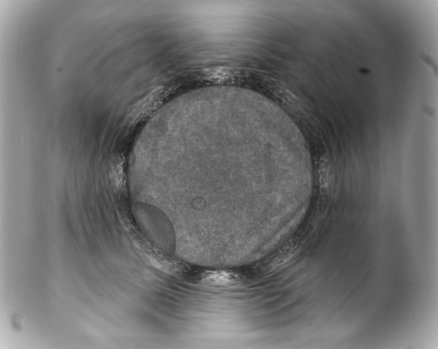 X0000102040611200808151408