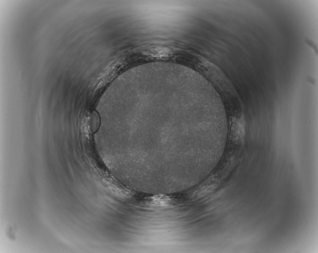 X0000102040612200808151408