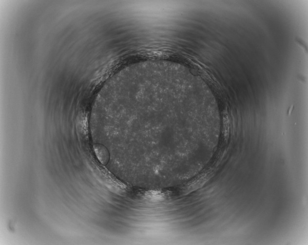 X0000102040613200808151408