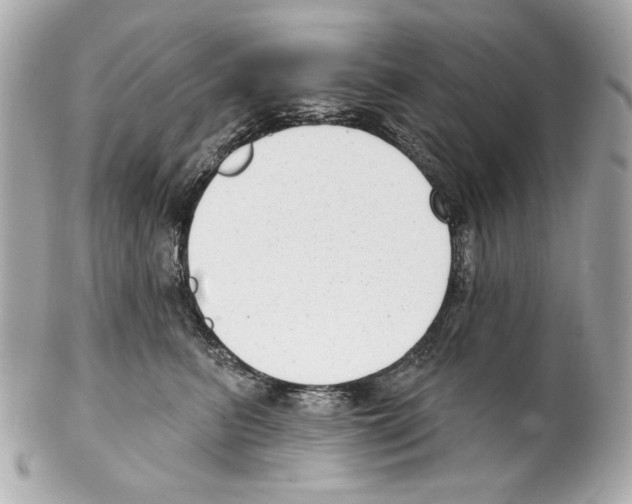 X0000102040615200808151408