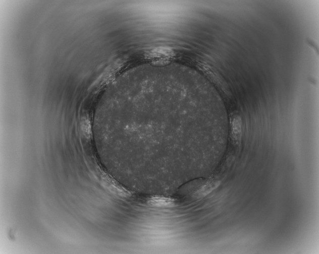 X0000102040617200808151408