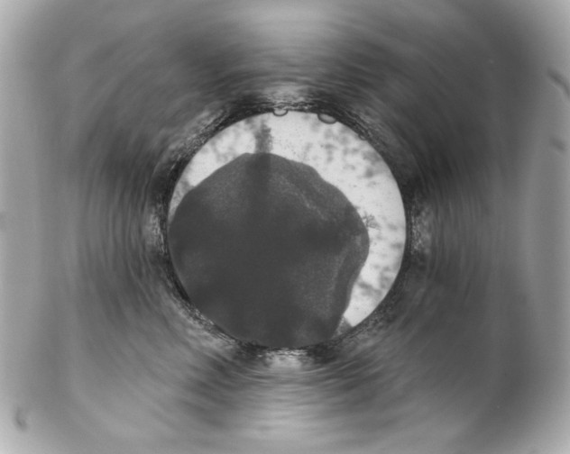 X0000102040618200808151408