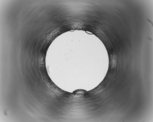 X0000102040619200808151408