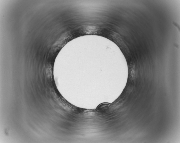 X0000102040620200808151408