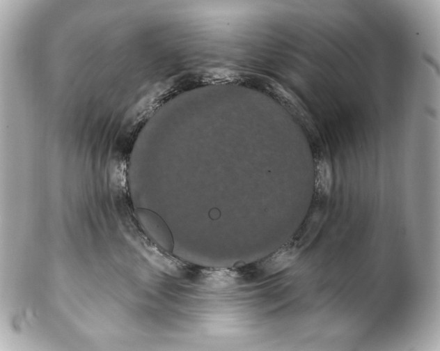 X0000102040621200808151408