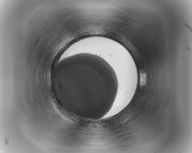 X0000102040627200808151407