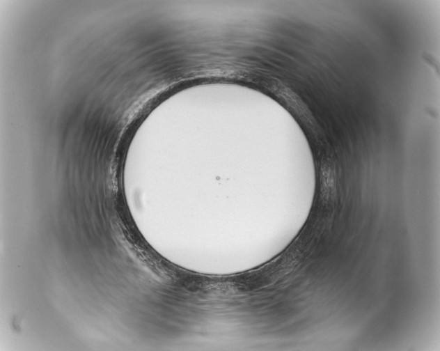 X0000102040628200808151407