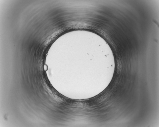 X0000102040629200808151407