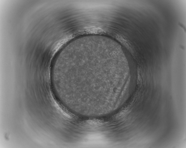 X0000102040630200808151407