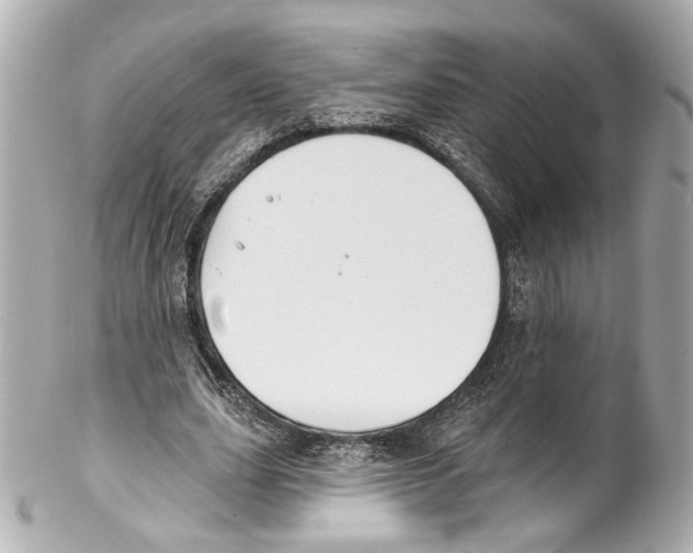 X0000102040631200808151407