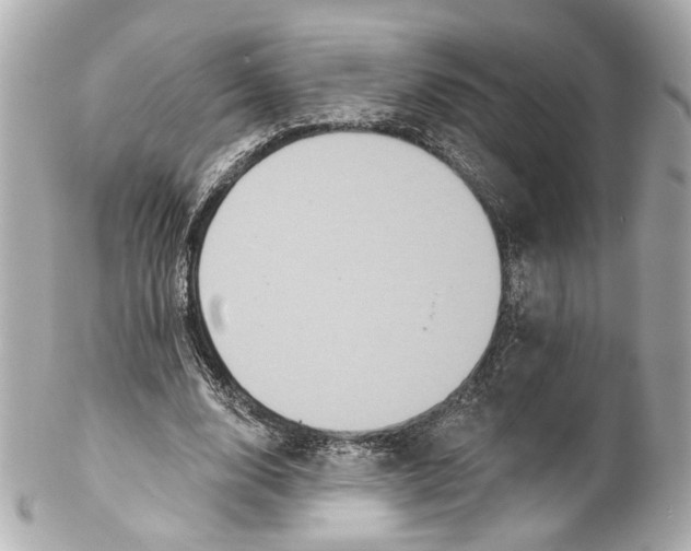 X0000102040632200808151407