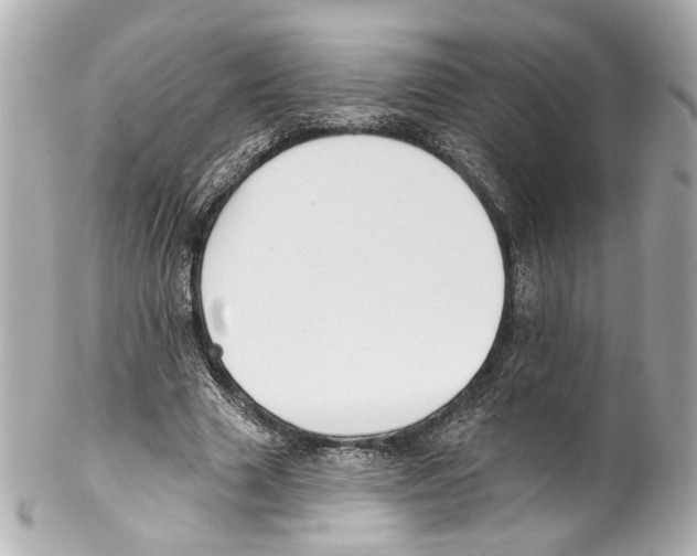 X0000102040633200808151407
