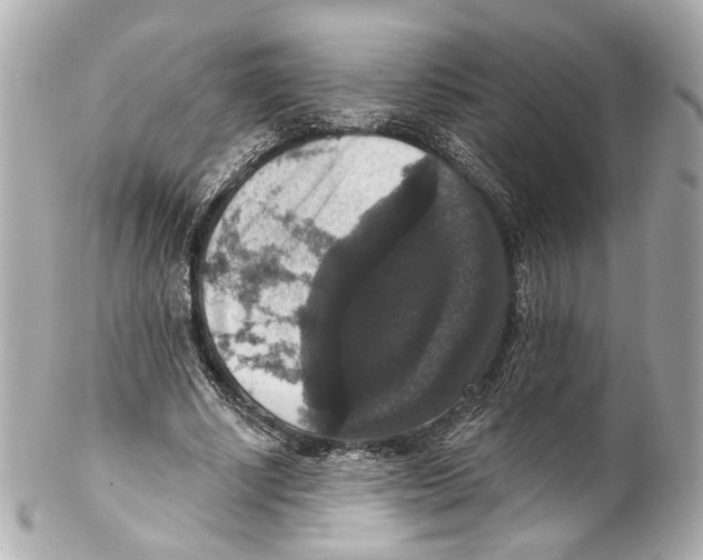 X0000102040634200808151407