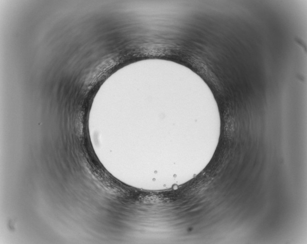 X0000102040635200808151407