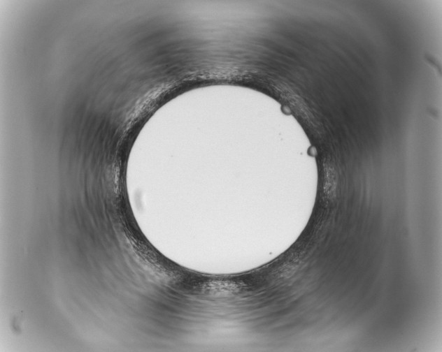 X0000102040636200808151407