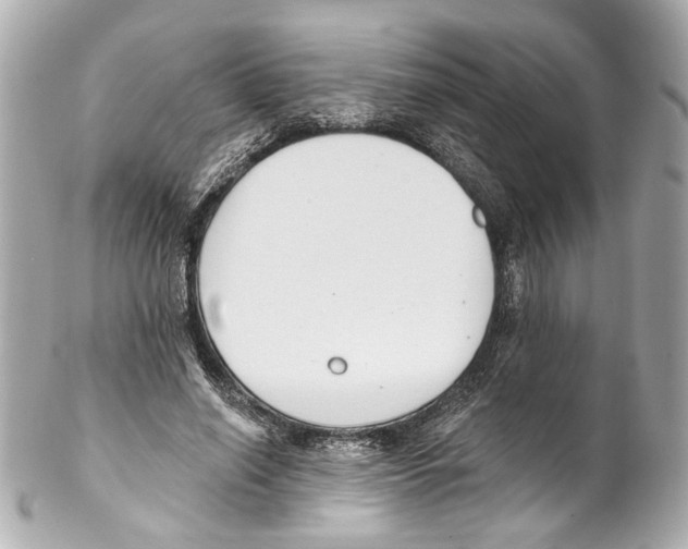 X0000102040638200808151407