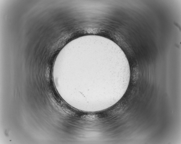 X0000102040639200808151408