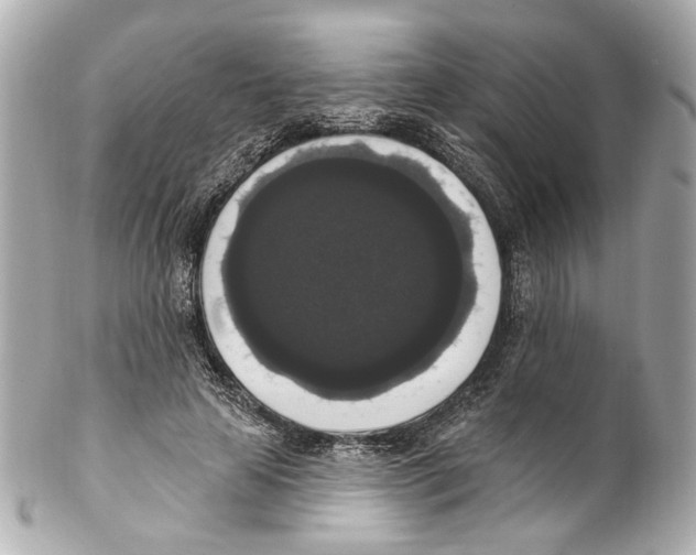X0000102040641200808151408