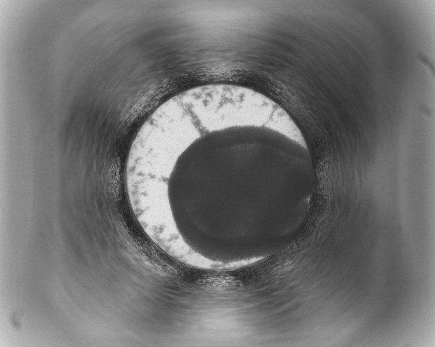 X0000102040642200808151408