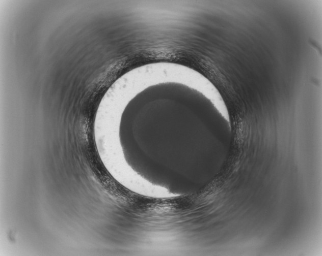 X0000102040643200808151408