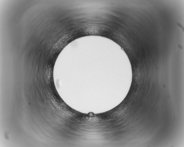 X0000102040645200808151408