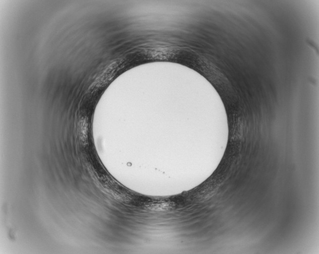 X0000102040646200808151408