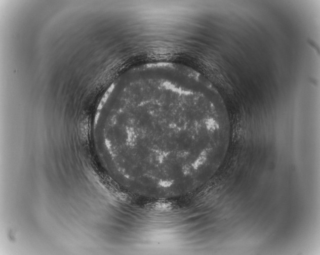 X0000102040647200808151408