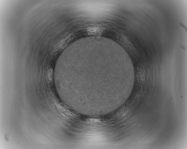 X0000102040649200808151408
