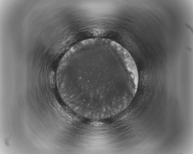 X0000102040650200808151408