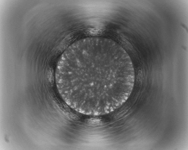 X0000102040651200808151408