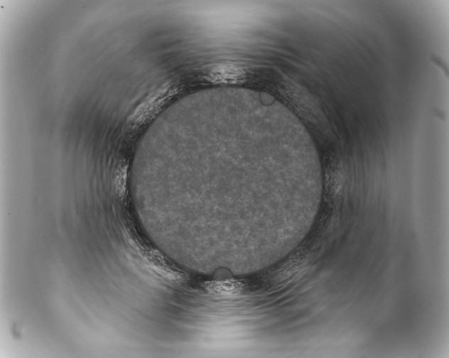 X0000102040652200808151408