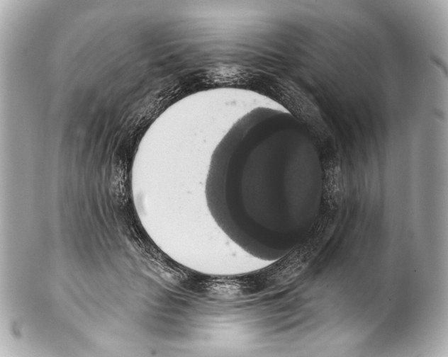 X0000102040653200808151408