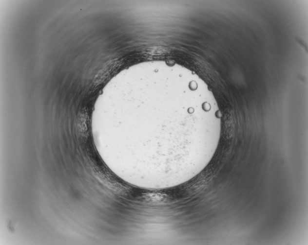X0000102040654200808151408