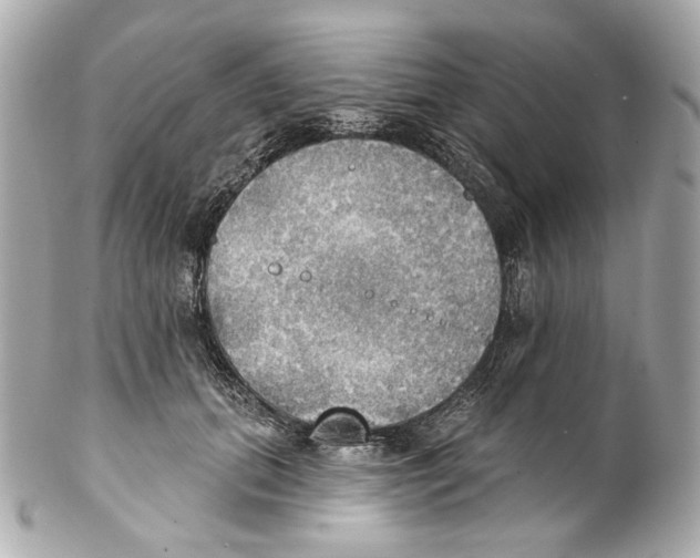 X0000102040655200808151408