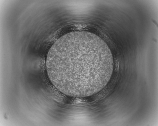 X0000102040657200808151408
