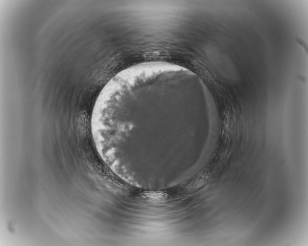 X0000102040659200808151408