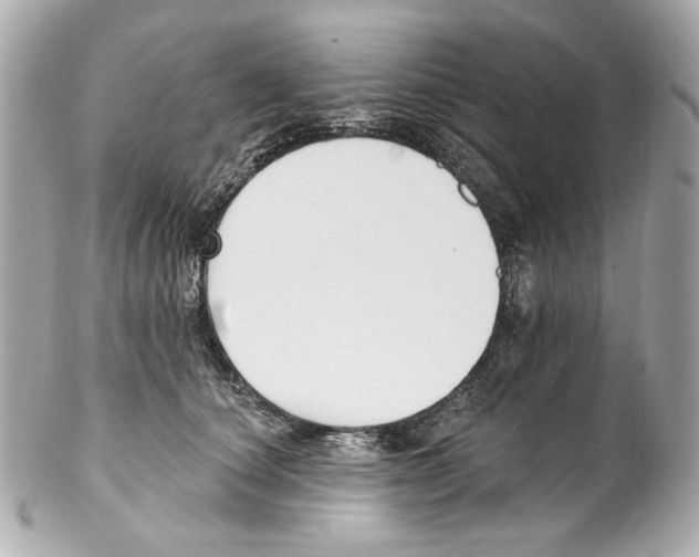 X0000102040660200808151408