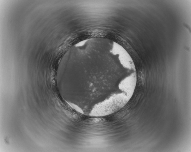 X0000102040663200808151408