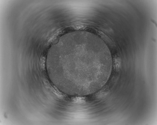 X0000102040664200808151408