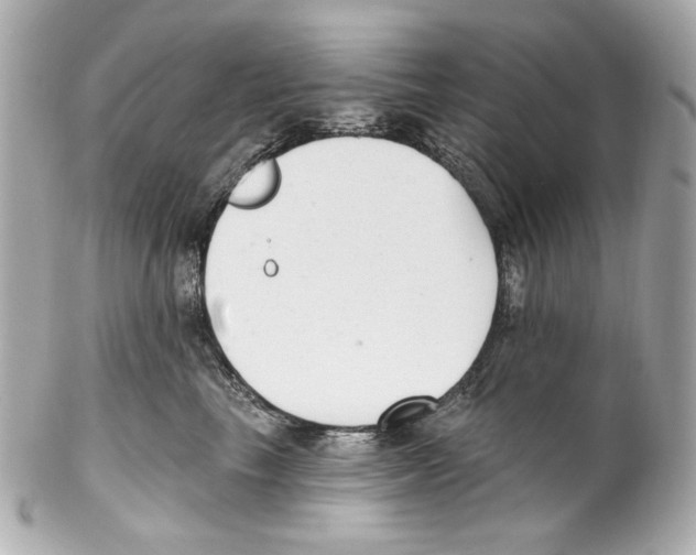 X0000102040665200808151408