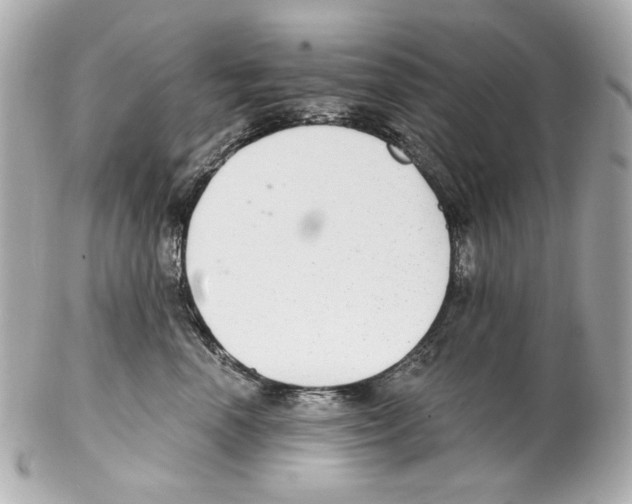 X0000102040666200808151408