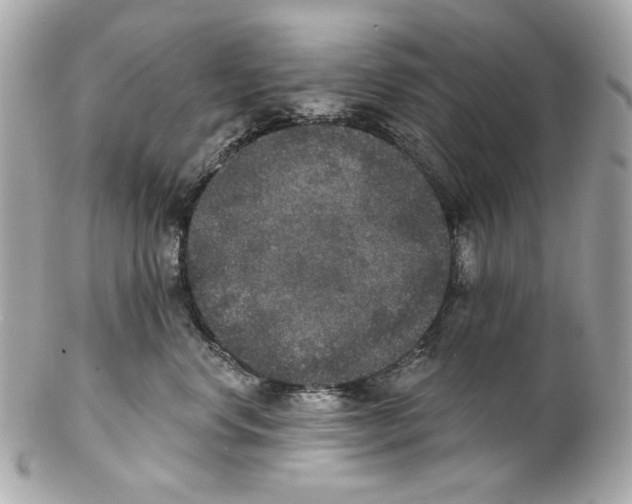 X0000102040668200808151408
