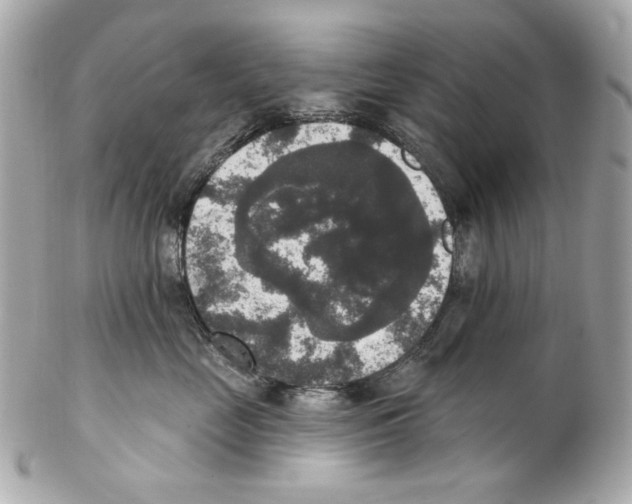 X0000102040669200808151408