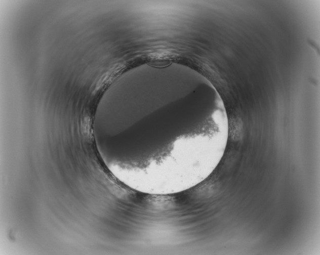X0000102040670200808151408