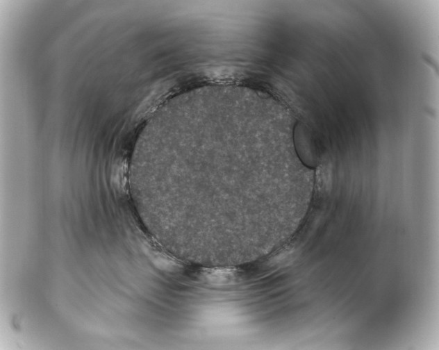 X0000102040671200808151408