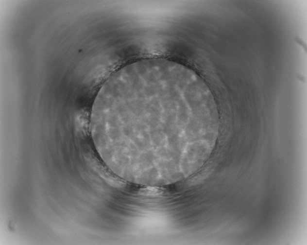 X0000102040672200808151408