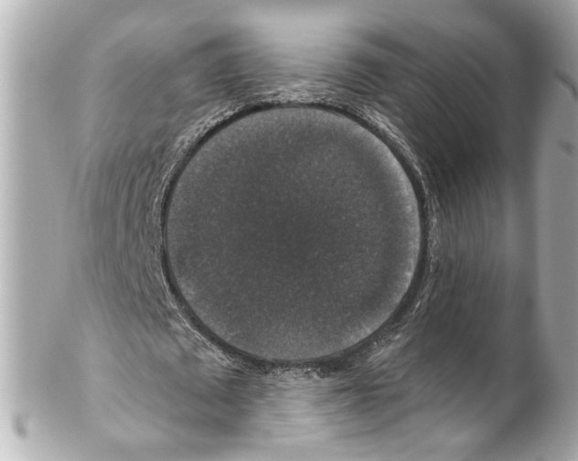 X0000102040673200808151407