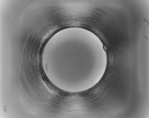 X0000102040674200808151407
