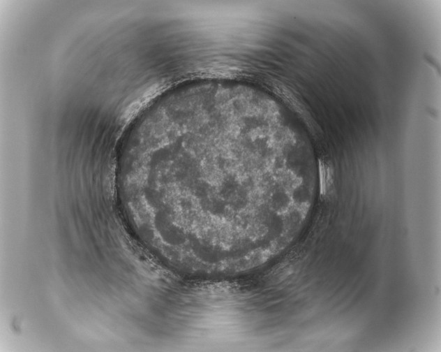 X0000102040675200808151407