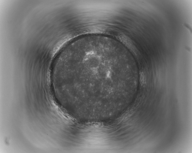 X0000102040676200808151407
